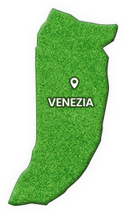 Venetzia